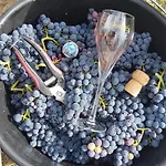 Maison 3 6 Pers Enjoy En Champagne Jardin Et Parking Ferienhaus Dormans