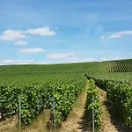 Maison 3 6 Pers Enjoy En Champagne Jardin Et Parking Ferienhaus *