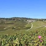 Maison 3 6 Pers Enjoy En Champagne Jardin Et Parking Ferienhaus Dormans