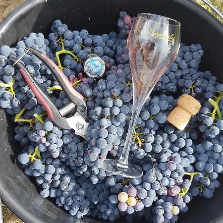 Enjoy En Champagne Maison Calme Au Milieu Du Vignoble Avec Parking Gratuit Holiday home Dormans