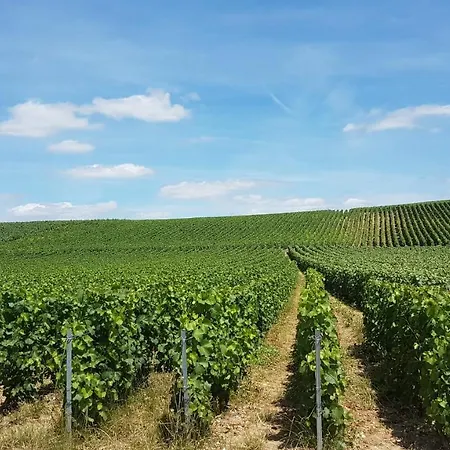 Enjoy En Champagne Maison Calme Au Milieu Du Vignoble Avec Parking Gratuit Nyaraló *