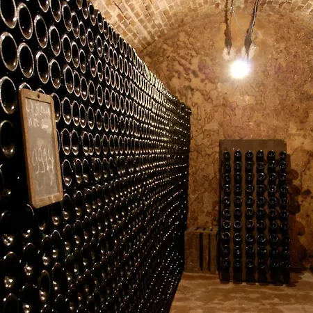 Enjoy En Champagne Maison Calme Au Milieu Du Vignoble Avec Parking Gratuit 度假居 *