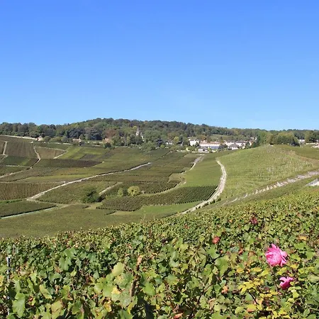 Enjoy En Champagne Maison Calme Au Milieu Du Vignoble Avec Parking Gratuit Holiday home Dormans