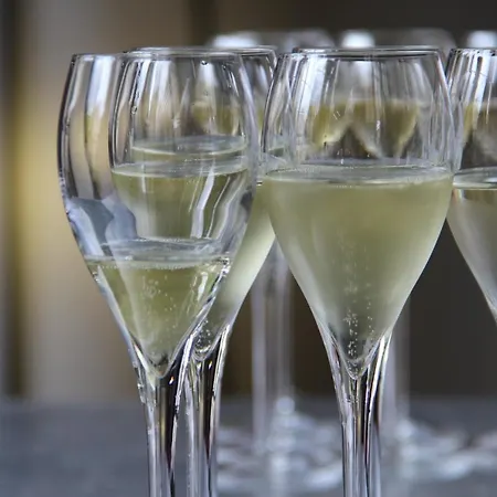 Enjoy En Champagne Maison Calme Au Milieu Du Vignoble Avec Parking Gratuit Nyaraló Dormans