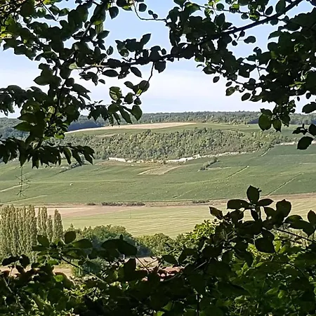 Holiday home Enjoy En Champagne Maison Calme Au Milieu Du Vignoble Avec Parking Gratuit Dormans