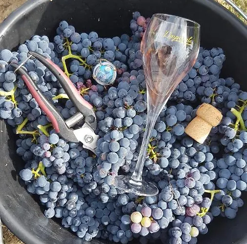 Maison 3 chambres 6 pers Enjoy en Champagne Jardin et Parking Hébergement de vacances Dormans