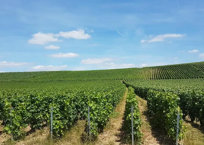 Maison 3 chambres 6 pers Enjoy en Champagne Jardin et Parking Hébergement de vacances *