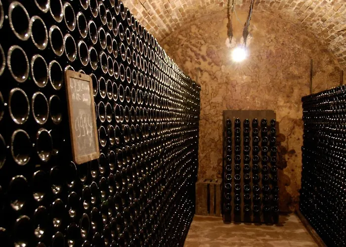 Maison 3 chambres 6 pers Enjoy en Champagne Jardin et Parking Hébergement de vacances *